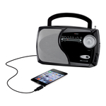 AM/FM WEATHER RADIO - WR282B - By WEATHERX