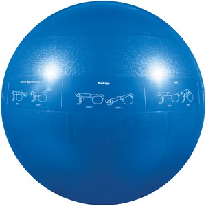 55CM PRO STABILITY BALL - GF-55PRO - GOFIT