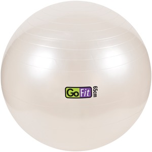 65CM EXERCISE BALL WITH - GF-65BALL - GOFIT