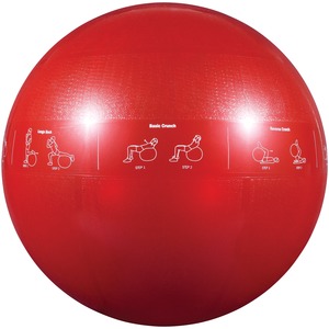 65CM PRO STABILITY BALL - GF-65PRO - GOFIT